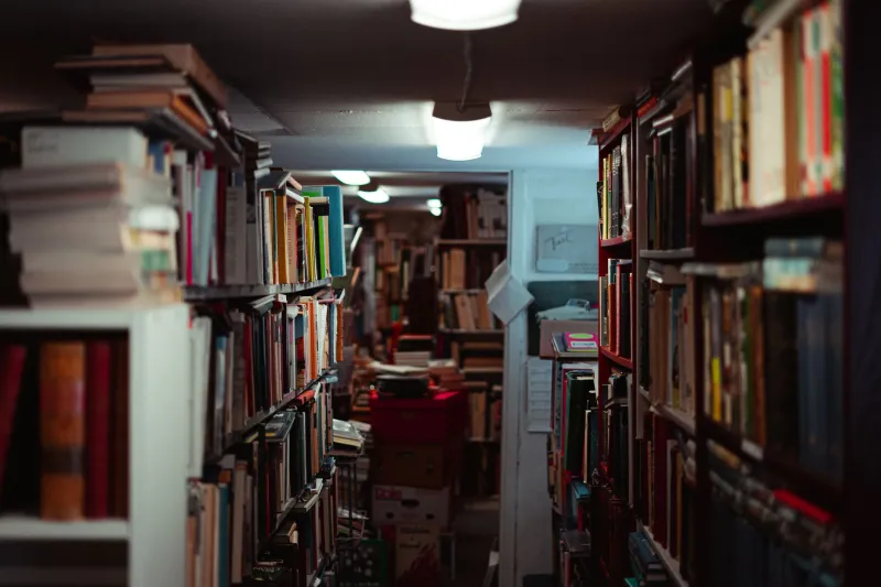Shh, There's a Story Behind Door Nine: Librarians Are Curating December One Shelf at a Time