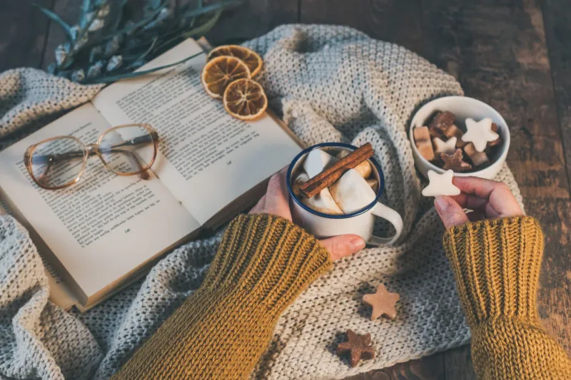 Snowed In With a Stack of Stories: A Guilt-Free Plan for the December 23rd Latecomer